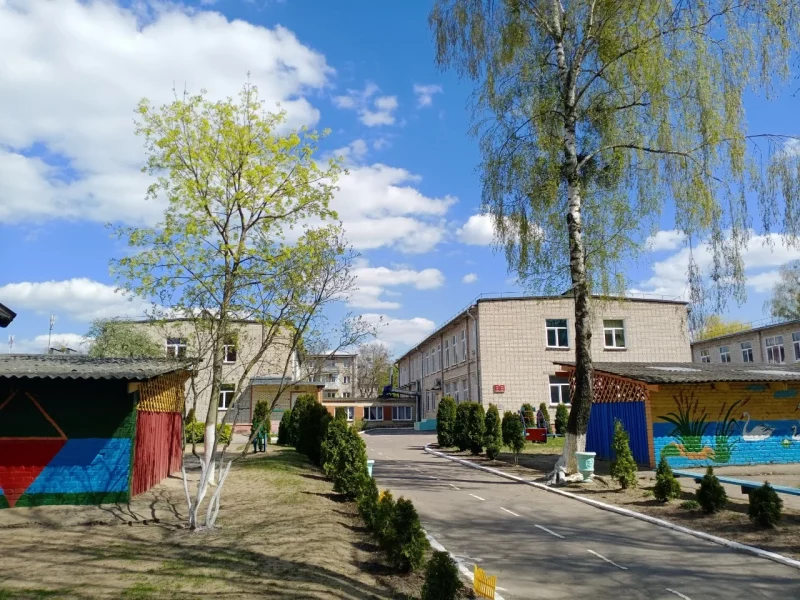 Территория детского сада 40 в Гродно, где спилят деревья