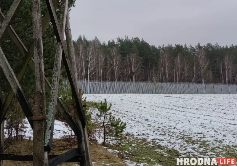 Забор на границе Польши и Беларуси должен помешать нелегальным мигрантам в Гродно попадать в Польшу