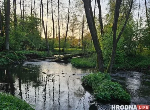 Слушания по мосту через Неман не состоялись: на встречу с горожанами никто не пришел Лососянка