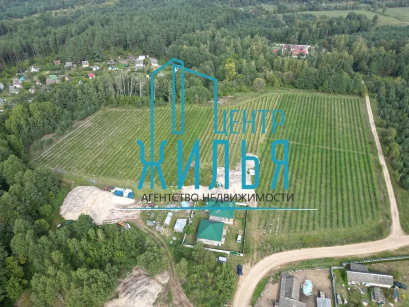 Бизнес по выращиванию голубики. Фото: "Центр жилья"