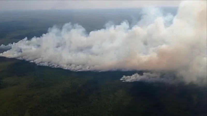 Дым от пожара в лесхозе. Источник: Скриншот БелТА видео пресс-службы Минлесхоза