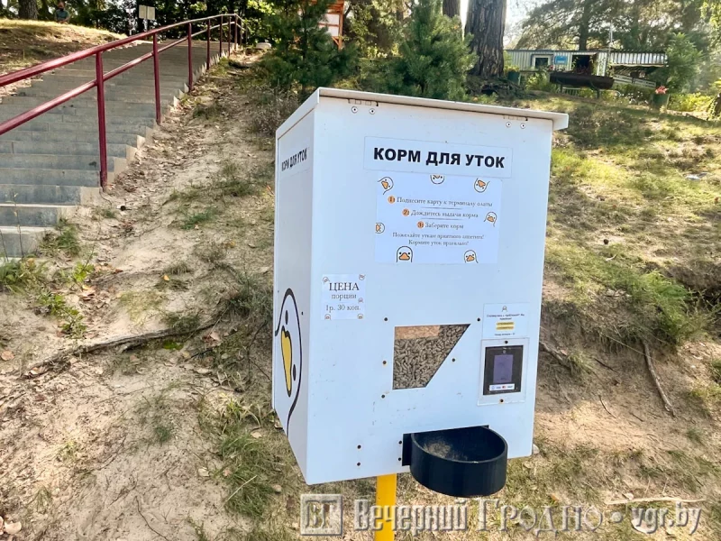 Аппарат для кормления уток у берега Немана в Пышках. Фото: Вечерний Гродно