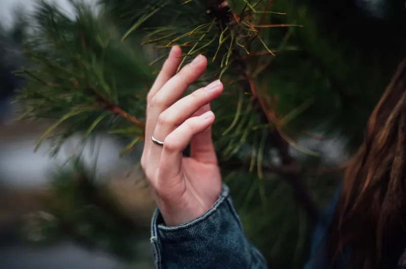 в гродненской области будут садить лес