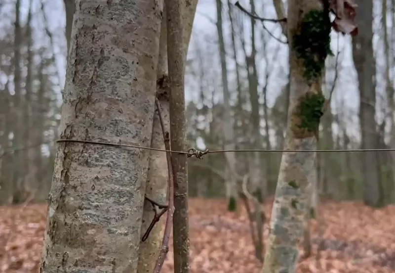 Проволока для байкеров.