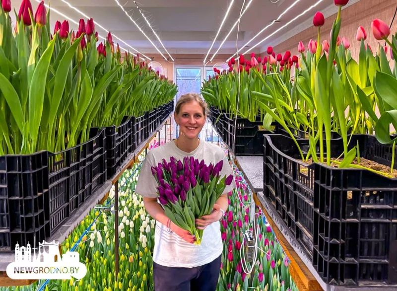 Гродненцы вырастили 15 тысяч тюльпанов на втором этаже своего дома Гродненцы вырастили 15 тысяч тюльпанов на втором этаже своего дома
