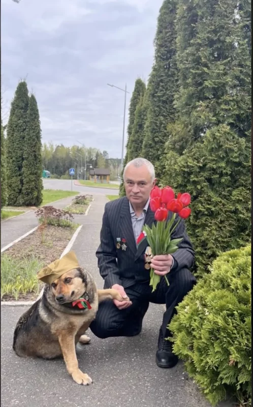 У святкаванні Дня перамогі задзейнічаюць жывёлін. Удзельнічае і каза з Гродзенскага заапарка