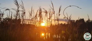 Лето отдых на озере