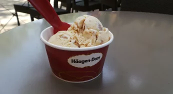 Häagen-Dazs — мороженое из Дании? Как гродненец основал один из самых известных брендов в Америке