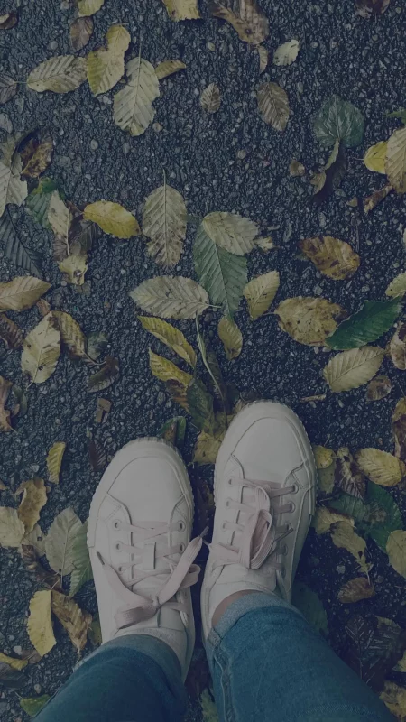 У Гродне лісце дрэў пажаўцела і абсыпалася. Гараджане шукаюць прычыну