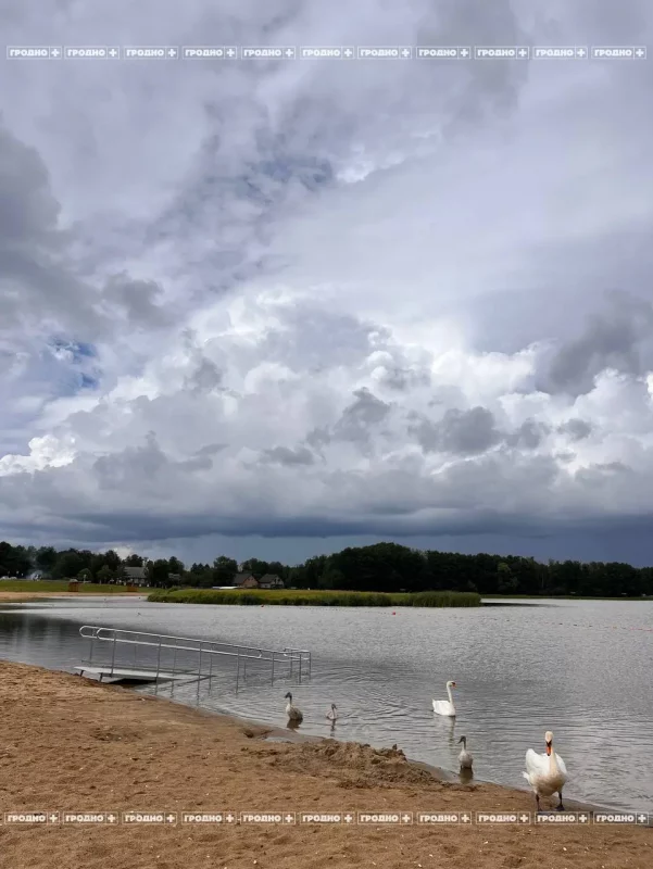 В Гродно установят водный пандус для людей с инвалидностью. Первый в городе
