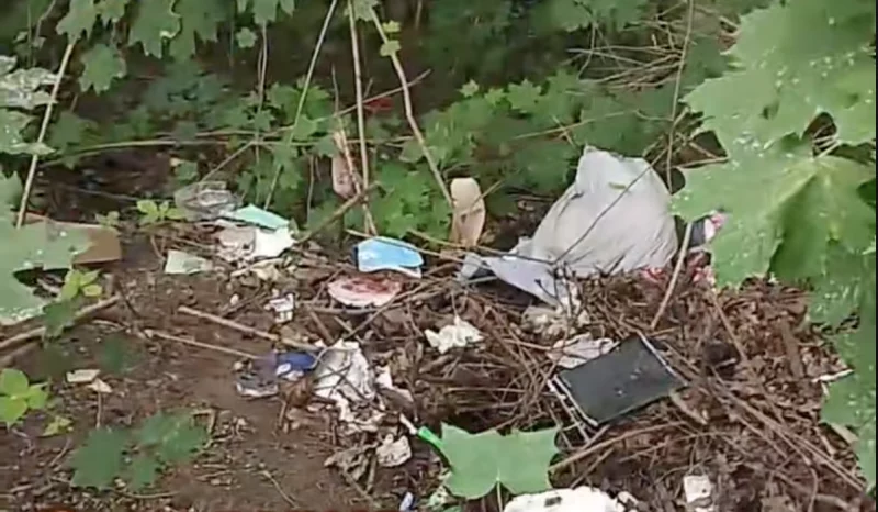 У Гродне з'явілася стыхійная звалка. Што могуць зрабіць гараджане?