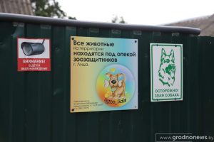 «Живут везде: в доме, сарае, гараже». В Лидском районе соседи-пенсионеры и зоозащитница спорят из-за 13 собак и некошеной травы «Живут везде: в доме, сарае, гараже». В Лидском районе соседи-пенсионеры и зоозащитница спорят из-за 13 собак и некошеной травы