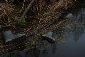 мигранты на границе