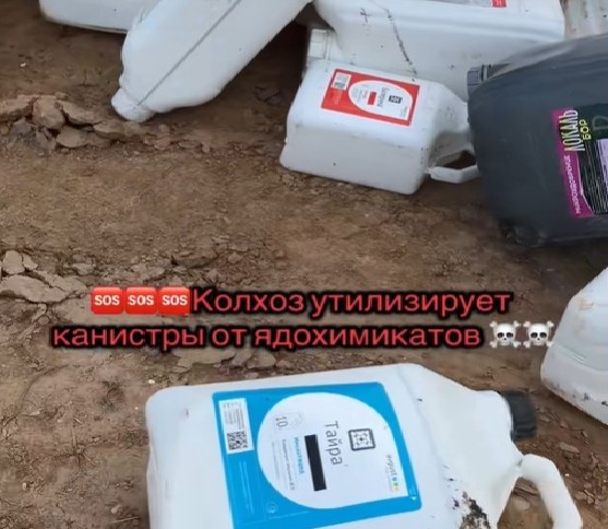 «Кіраўніцтва шчыра выбачаецца». У Зэльвенскім раёне спальвалі каністры ад ядахімікатаў