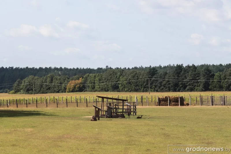 Аб'екты без «піяру»: Гродзенскі лясгас адкрывае новыя турыстычныя маршруты