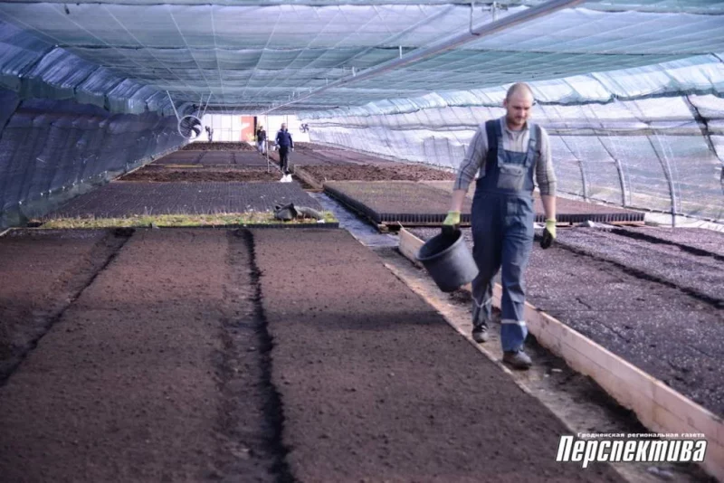 Аб'екты без «піяру»: Гродзенскі лясгас адкрывае новыя турыстычныя маршруты