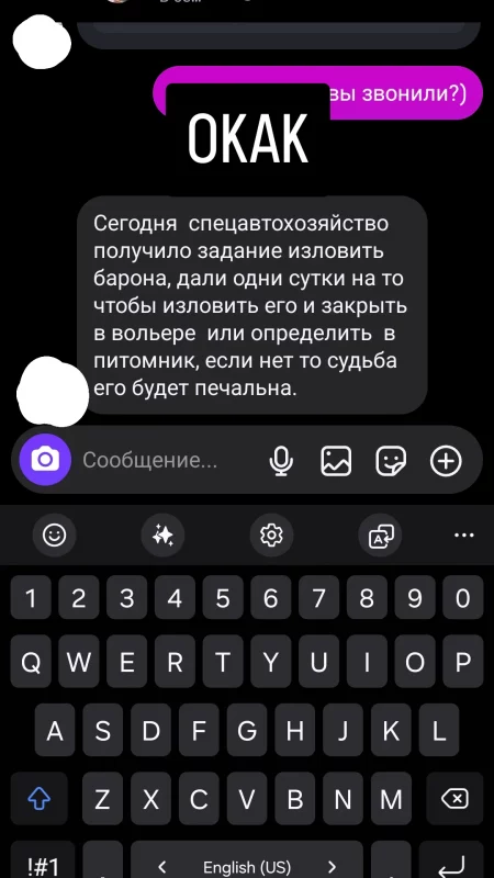 На гродзенскага інстаграмнага сабаку Барона выклікалі службу адлову