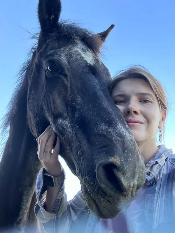 В Гродно старую лошадь продают на мясо. Как можно помочь животным-пенсионерам?