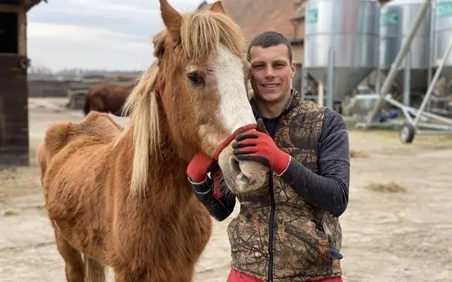 В Гродно старую лошадь продают на мясо. Как можно помочь животным-пенсионерам?