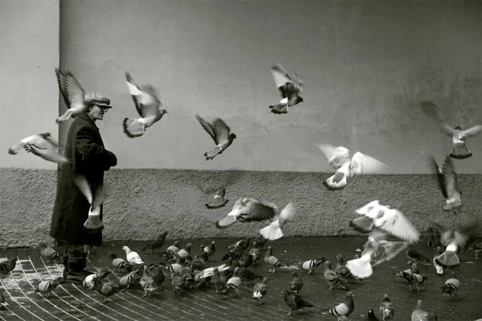 «Ахоўнікі гісторыі». Чым займалася Наталля Дораш і чаму яе фатаграфіі — важныя для Гродна