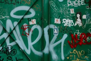 В Гродненской области растет число случаев вандализма В Гродненской области растет число случаев вандализма