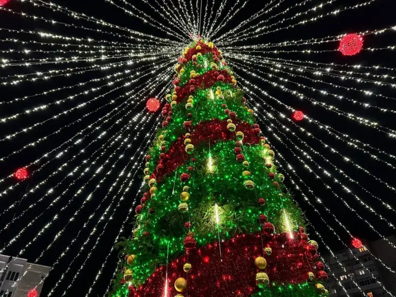 З падковамі, дамкамі і сняжынкамі. Як выглядаюць галоўныя ёлкі ў раённых цэнтрах рэгіёна