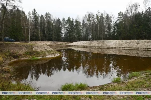 Под Гродно жители облагородили озеро и чуть не попали под уголовку. Власти уступили - “районка” извинилась озеро Рыбница