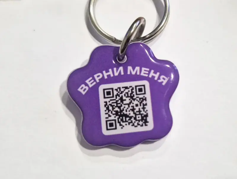 В Беларуси запустили сервис для пропавших питомцев — животных будут искать с помощью смарт-брелка 