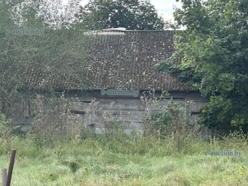 В Мостовском районе продают имущество еще одного заочно осужденного активиста (обновлено) Дом Хильмановича. Фото: e-auction.by