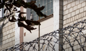 Бобруйская колония