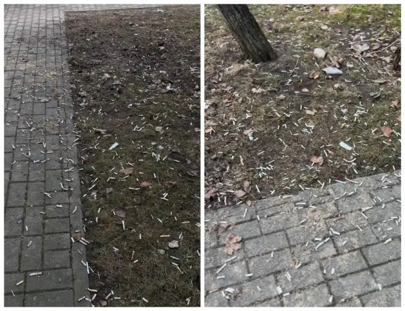 Жители одного из домов в Гродно жалуются на сотни сигаретных бычков во дворе 