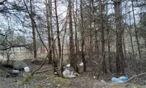 Жители Ольшанки обнаружили в парке «сатанинские» атрибуты. Что сказали в милиции?  