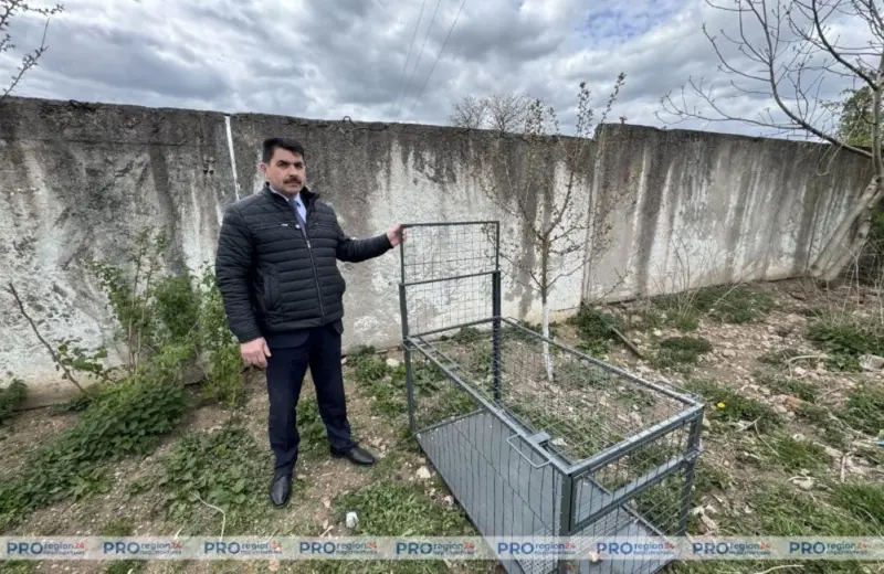 ловушки для собак