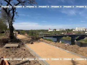 сквер на Дарвина