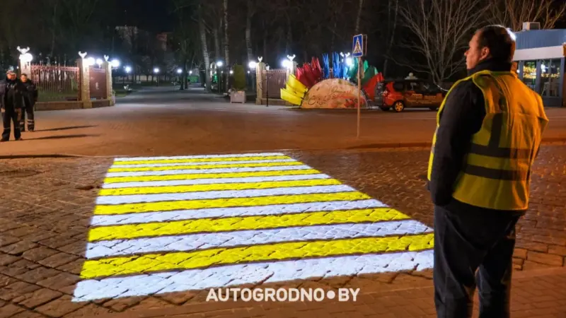 В Гродно на семи улицах появятся светящиеся «зебры»: где установят проекторы зебра, проектор, пешеходный переход