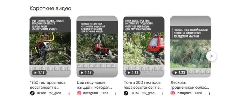 Гектары «усохли». ГосТВ запуталось в цифрах посадок: сначала планировали 1750 га, а позже - только 300