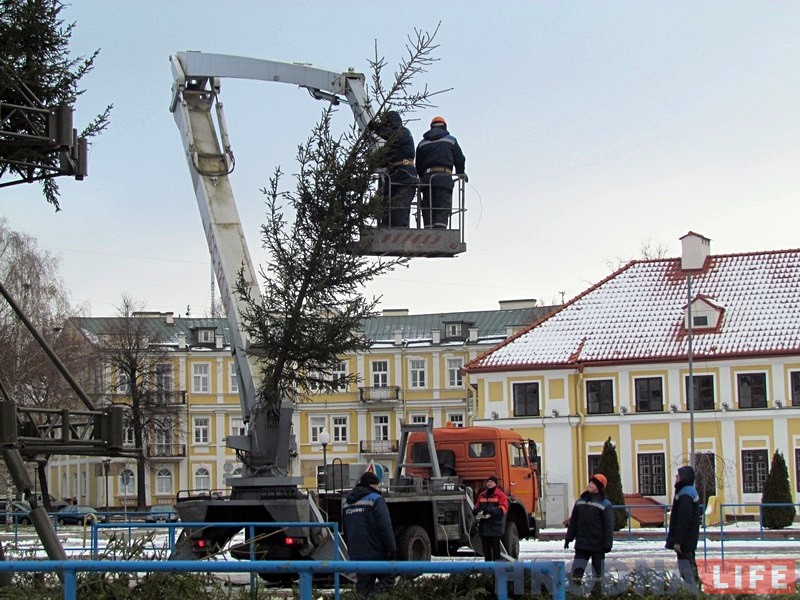 Галоўная елка горада сёлета будзе вышэй і прыгажэй Галоўная елка горада сёлета будзе вышэй і прыгажэй