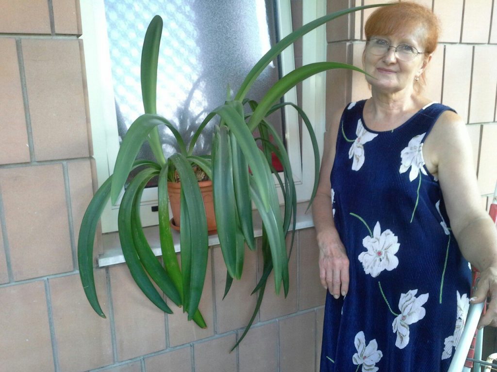 У Гродне шукаюць пенсіянерку, якая сышла з дому ў дэпрэсіі