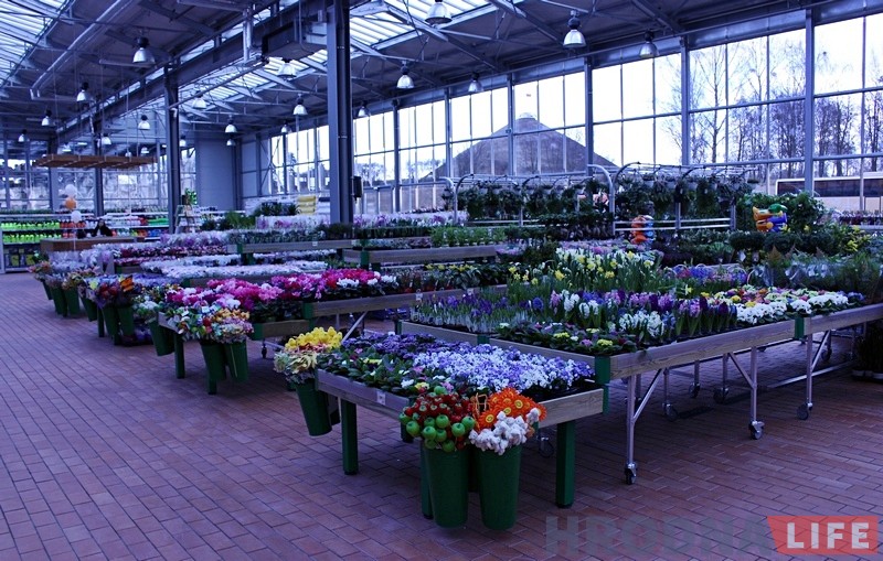 Фотарэпартаж: Самы буйны будаўнічы гіпермаркет Беларусі адкрылі ў Гродне Фотарэпартаж: Самы буйны будаўнічы гіпермаркет Беларусі адкрылі ў Гродне