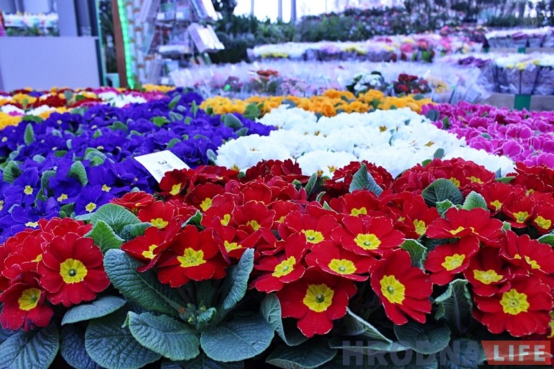 Фотарэпартаж: Самы буйны будаўнічы гіпермаркет Беларусі адкрылі ў Гродне Фотарэпартаж: Самы буйны будаўнічы гіпермаркет Беларусі адкрылі ў Гродне