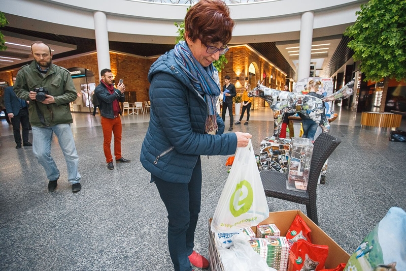 У Old City на дабрачыннай акцыі сабралі двухмесячны рацыён кармоў для жывёл з САГа У Old City на дабрачыннай акцыі сабралі двухмесячны рацыён кармоў для жывёл з САГа