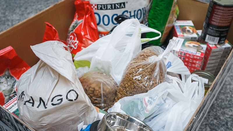 У Old City на дабрачыннай акцыі сабралі двухмесячны рацыён кармоў для жывёл з САГа У Old City на дабрачыннай акцыі сабралі двухмесячны рацыён кармоў для жывёл з САГа