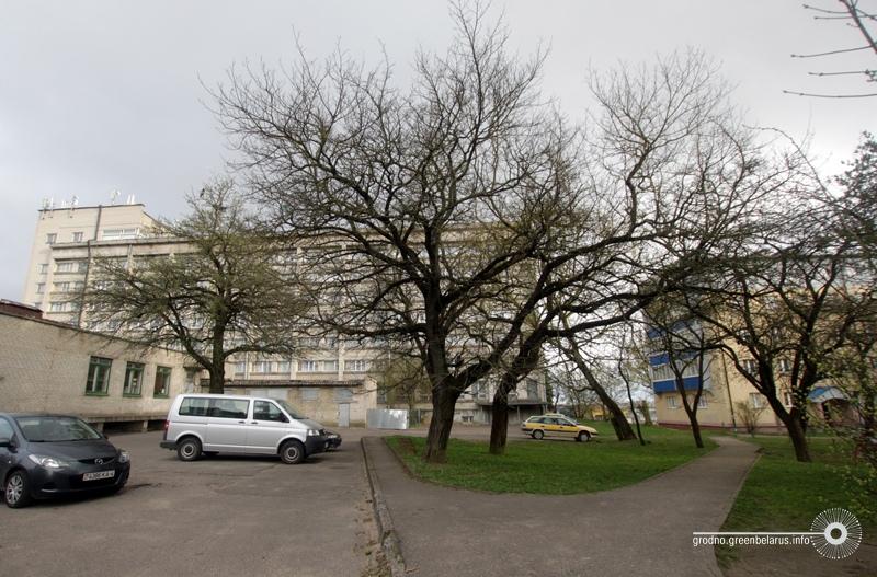 Вандроўка па Каліноўскага - Церашковай: Вітаўт і рэтравясковы дызайн