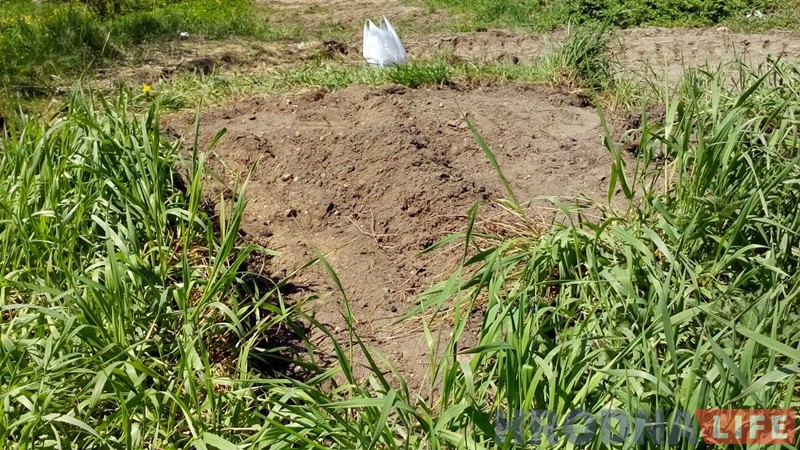 На Фолюшы сабака праваліўся ў адкрыты калодзеж i загінуў. Каго вiнавацiць?