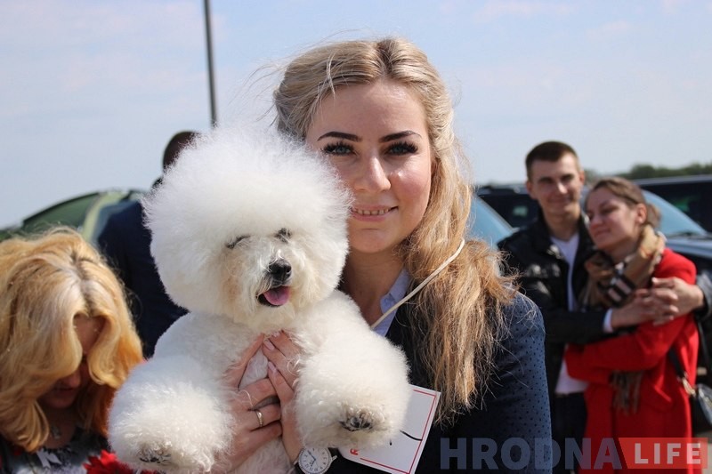 Больш за 300 сабак прыняло ўдзел у буйной выставе ў Гродне Больш за 300 сабак прыняло ўдзел у буйной выставе ў Гродне
