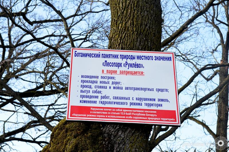 Будпляцоўка каля румлёўскай дубровы: ці ёсць падстава турбавацца? (спойлер: ёсць)