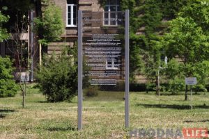 Шмат размоваў, але мала справаў: у гарвыканкаме абмеркавалі лёс батанічнага сада ў Гродне