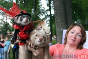 "Сабакі з катамі і побач не стаяць". У парку Жылібера знаёмілі гродзенцаў з тхарамі