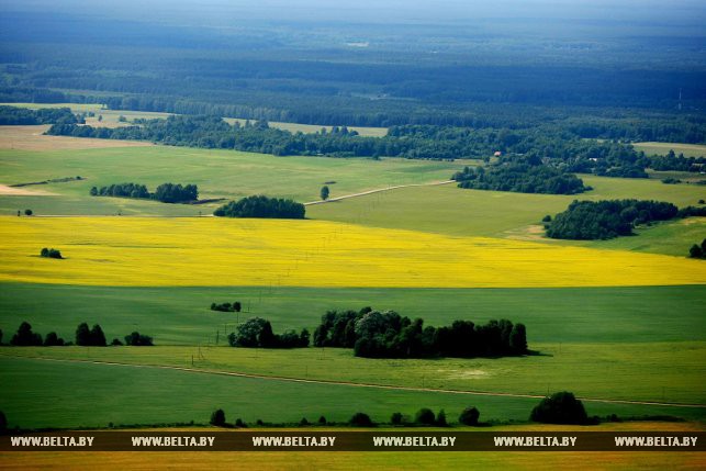 Фотарэпартаж: Гродзеншчына з вышыні птушынага палёту