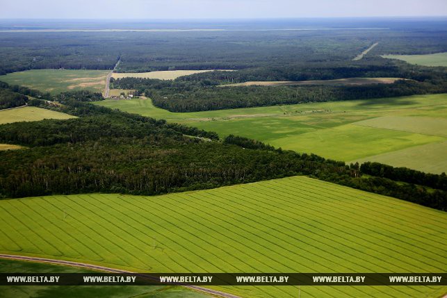Фотарэпартаж: Гродзеншчына з вышыні птушынага палёту